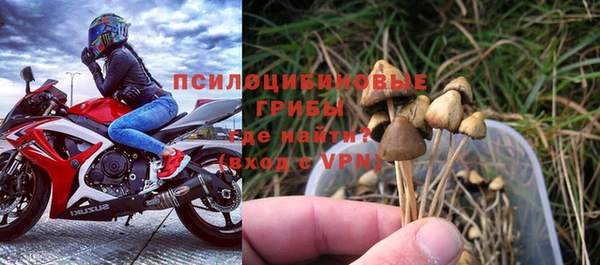 прущая мука Алзамай
