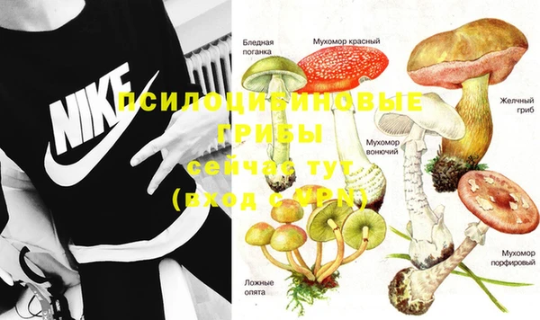 крисы Алексеевка