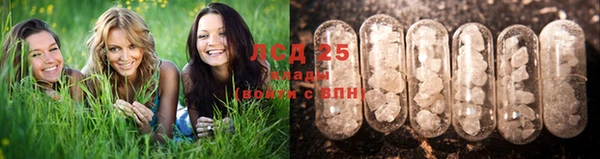 крисы Алексеевка