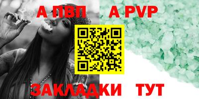 2c-b Кингисепп