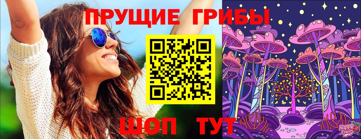 Галлюциногенные грибы Psilocybe  Вход с VPN  Мыски 