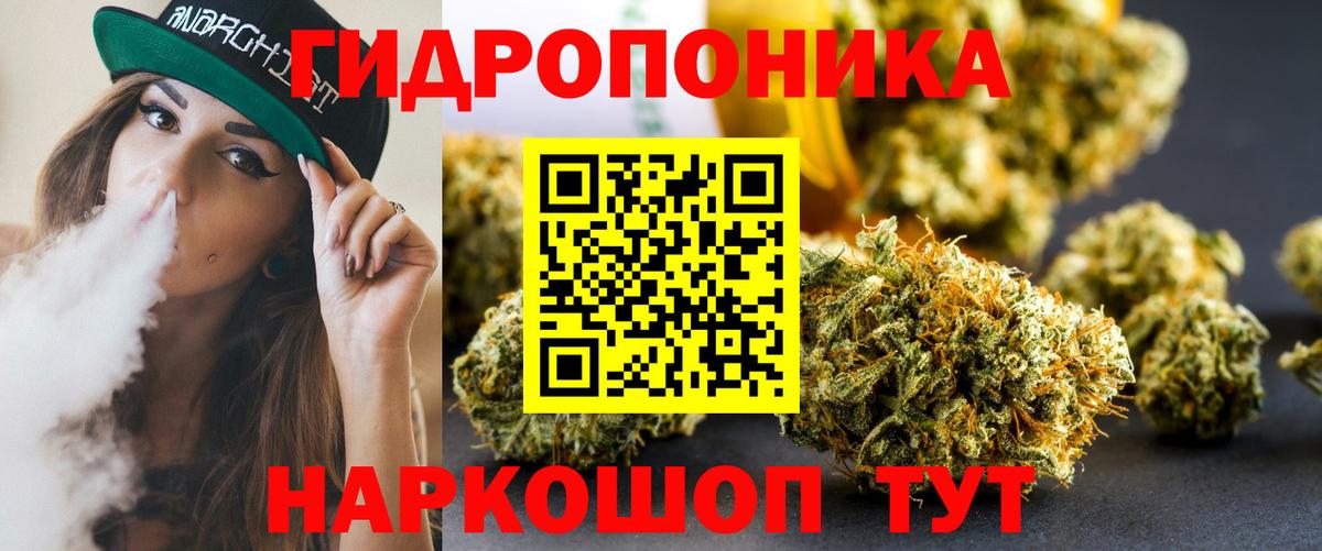 Шишки марихуана план  Вход с VPN  Бошки марихуана конопля  Мыски 